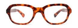 Optical Frames Acetate Rectangular Oval Lady Fashion High Quality COA3014