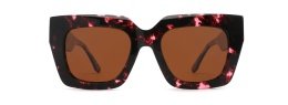 Sunglasses Acetate Square Bold Thick Unisex High Quality CSA3008